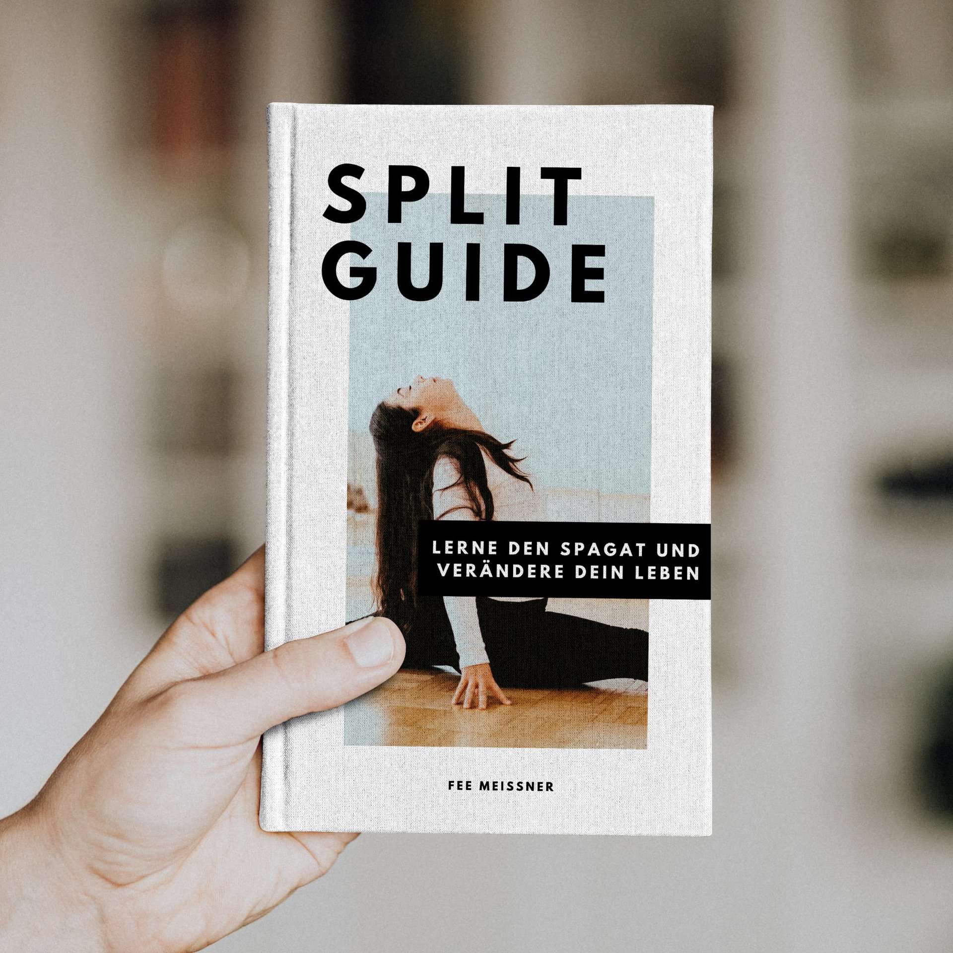 Split Guide